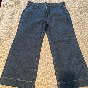 Trouser Jeans Size 33P J.Crew NWT